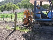Tournesol_tractor_1 Tournesol_tractor_1