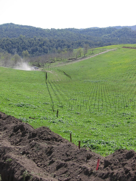 Valley Valley