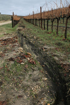 Vineyard_erosion Vineyard_erosion