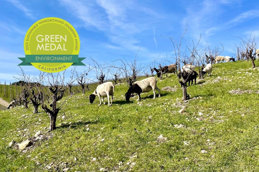 We Celebrate a Meaningful Honor: the 2023 California Green Medal for Environment