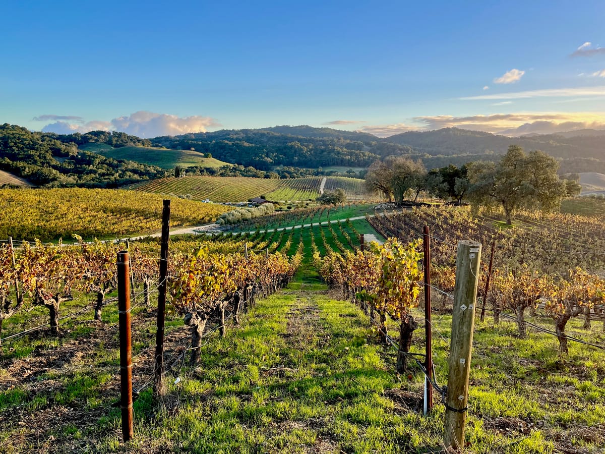 Paso Robles is Ridiculously Beautiful, Unusual Fall Color Palette Edition