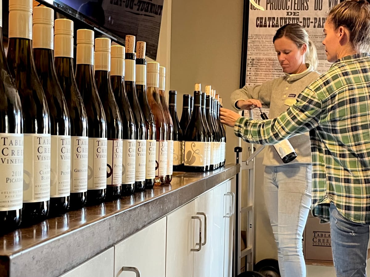 A horizontal retrospective tasting of 2016 shows it's a vintage with something for everyone