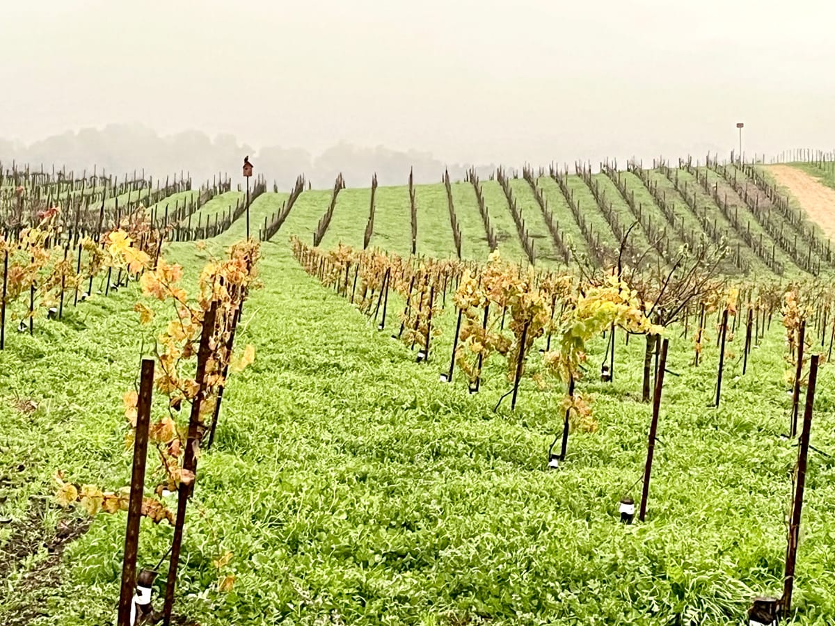 Assessing the Lovely Wet Beginning to the 2025-26 Winter