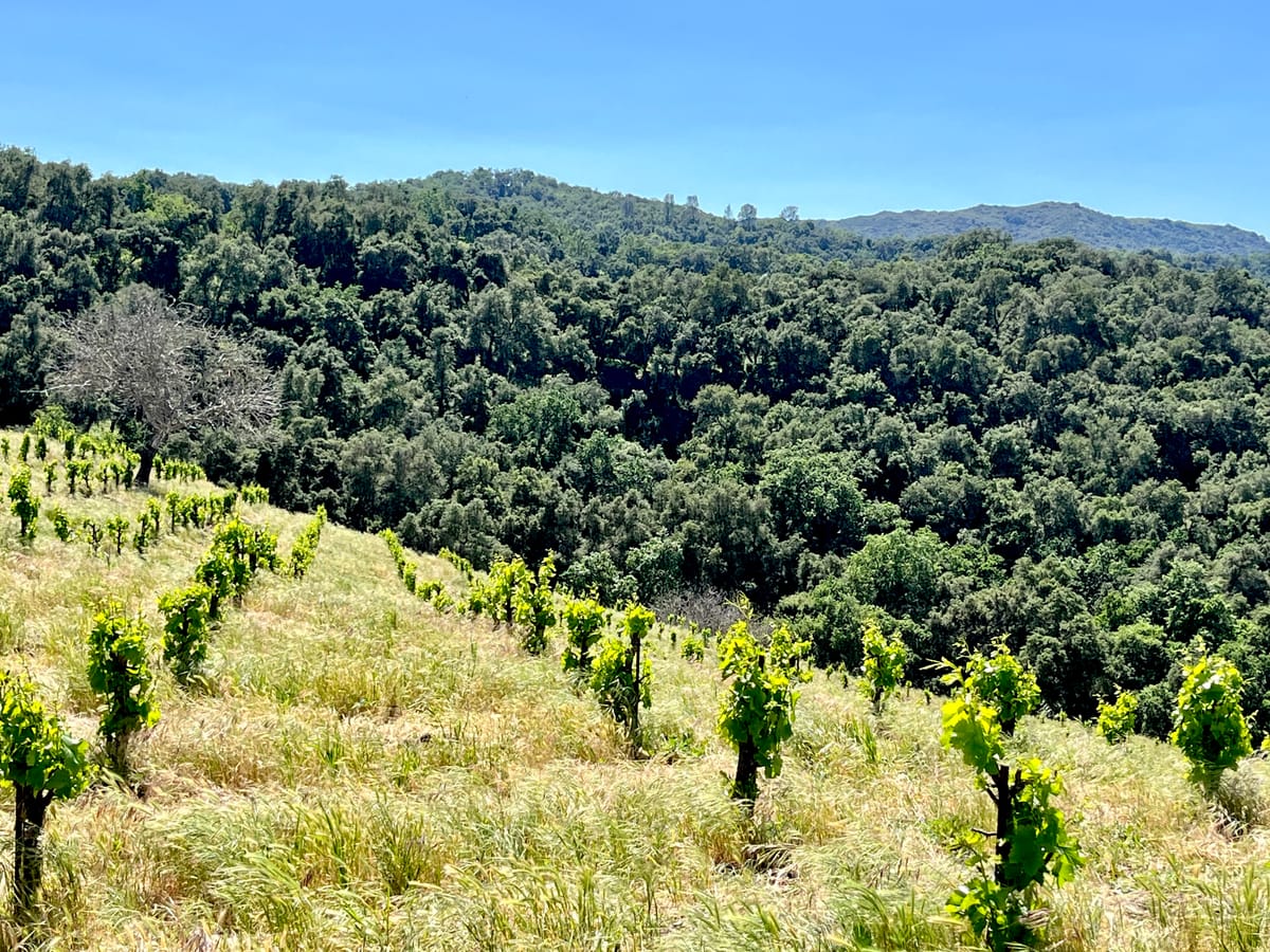 It's not just your imagination. The heat in March was unprecedented.