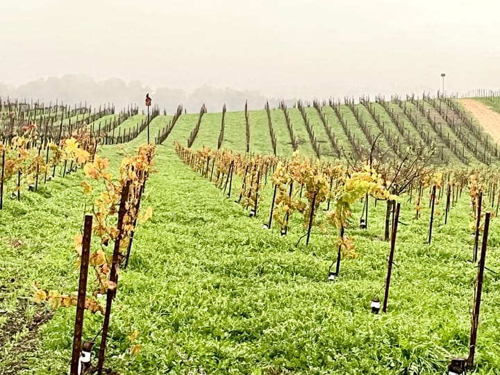 Assessing the Lovely Wet Beginning to the 2025-26 Winter